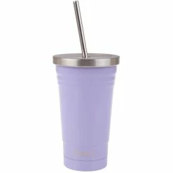 Oasis Double Wall Insulated Tumbler W/Straw