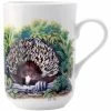 Maxwell and Williams Cashmere Animals Of Australia Mug 300ml Echidna -Drinkware Shop DX0024 1024x1024