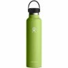 Hydro Flask 24oz Standard Mouth Flex Cap - Seagrass 1 Hydro Flask 24oz Standard Mouth Flex Cap - Seagrass -Drinkware Shop Hydro Flask Bottles 24oz Standard Matchbox HydroFlask24ozStandardMouthSeagrass 1024x1024