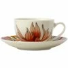 Maxwell and Williams Waratah Coupe Demi Cup & Saucer 100ml 1 Maxwell and Williams Waratah Coupe Demi Cup & Saucer 100ml -Drinkware Shop Maxwell WilliamsWaratahCoupeDemiCup Saucer100mlII0082 1024x1024