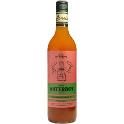 Mr Consistent Waterboy Premium Cocktail Mixer - 10 Serves
