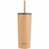 Oasis Super Sipper Insulated Tumbler With Silicone Straw 600ml Rockmelon 2 Oasis Super Sipper Insulated Tumbler With Silicone Straw 600ml Rockmelon -Drinkware Shop OasisSuperSipperRockmelon8921RM 1024x1024